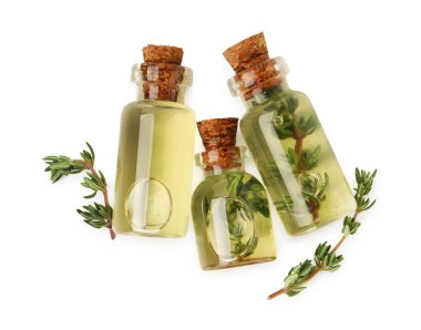 Kekik yağı şişeleri ve taze bitkiler beyaza izole edilmiş, üst manzara.