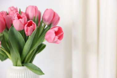 Bulanık arka planda vazoda pembe laleler, yakın plan. Metin için boşluk