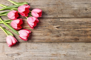 Tahta masadaki güzel pembe laleler, düz uzanmış. Metin için boşluk