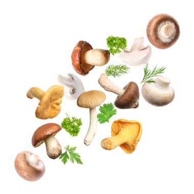 Farklı mantarlar, maydanoz ve dereotları beyaz arka planda havada uçuşuyor.
