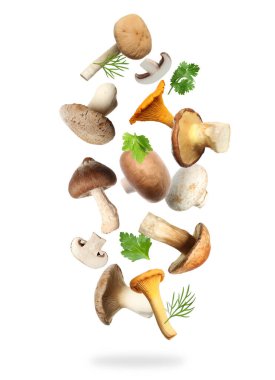 Farklı mantarlar, maydanoz ve dereotları beyaz arka planda havada uçuşuyor.