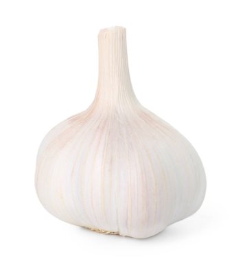 Bir taze sarımsak soğanı beyaza izole edilmiş.