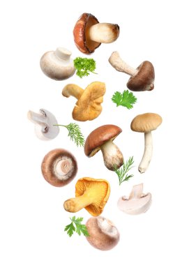 Farklı mantarlar, maydanoz ve dereotları beyaz arka planda havada uçuşuyor.