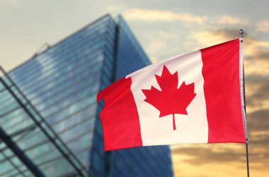 Kanada bayrağı bina önünde sallanıyor. Ulusal sembol