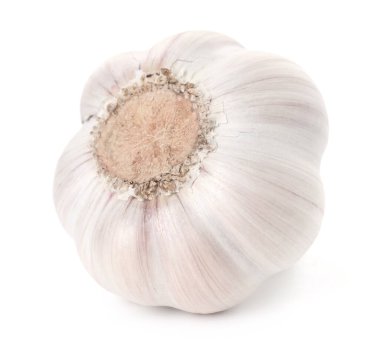 Bir taze sarımsak soğanı beyaza izole edilmiş.