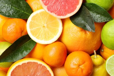 Arka plan olarak taze narenciye ve yapraklar, üst görünüm