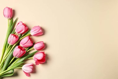 Bej arka planda pembe laleler, üst manzara. Metin için boşluk