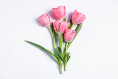 Beyaz arka planda pembe laleler, üst manzara.