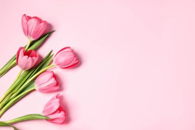 Pembe arka planda güzel laleler, düzlük. Metin için boşluk