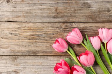 Tahta masadaki güzel pembe laleler, düz uzanmış. Metin için boşluk