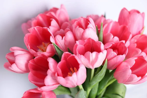 Bulanık arkaplanda pembe laleler, yakın plan.