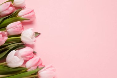 Pembe arka planda güzel laleler, üst manzara. Metin için boşluk