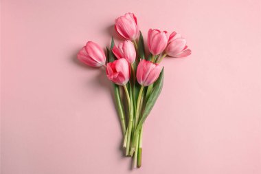 Güzel Lale pembe arka plan, üstten görünüm