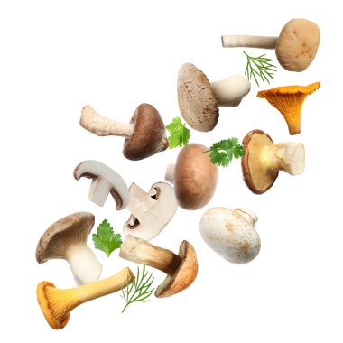 Farklı mantarlar, maydanoz ve dereotları beyaz arka planda havada uçuşuyor.