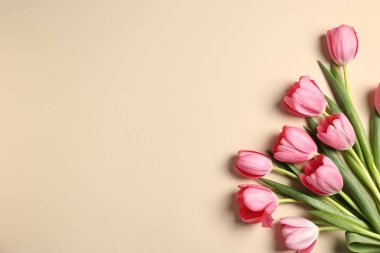 Bej arka planda pembe laleler, üst manzara. Metin için boşluk