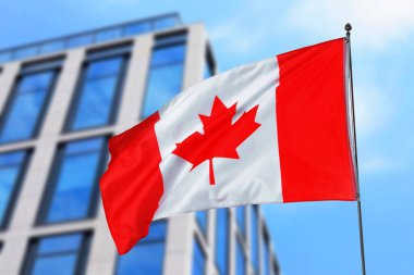 Kanada bayrağı bina önünde sallanıyor. Ulusal sembol