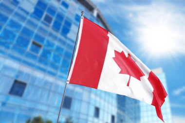 Kanada bayrağı bina önünde sallanıyor. Ulusal sembol