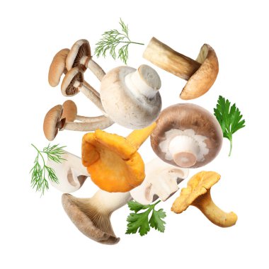 Farklı mantarlar, maydanoz ve dereotları beyaz arka planda havada uçuşuyor.