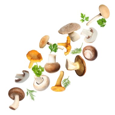 Farklı mantarlar, maydanoz ve dereotları beyaz arka planda havada uçuşuyor.