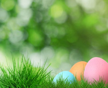 Yeşil çimenlerde paskalya yumurtaları bulanık arka planda