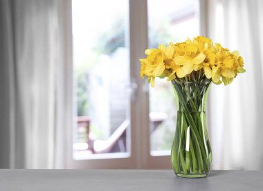 Sarı bahar nergisleri masadaki vazoda pencereye karşı.
