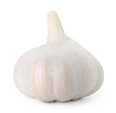 Bir taze sarımsak soğanı beyaza izole edilmiş.