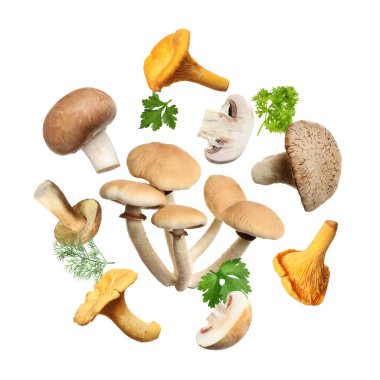 Farklı mantarlar, maydanoz ve dereotları beyaz arka planda havada uçuşuyor.