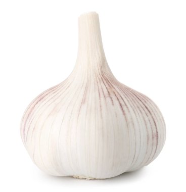 Bir taze sarımsak soğanı beyaza izole edilmiş.