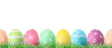 Beyaz arka plana karşı yeşil çimenli Paskalya yumurtaları.