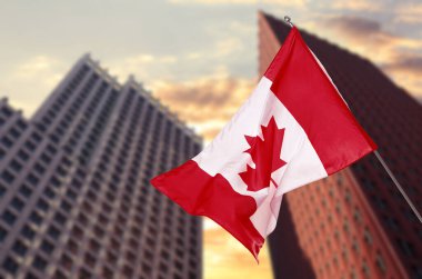 Kanada bayrağı açık havada binalara karşı dalgalanıyor. Ulusal sembol