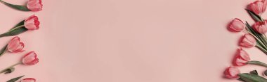 Pembe arka planda güzel laleler, üst manzara. Metin için alanı olan pankart tasarımı