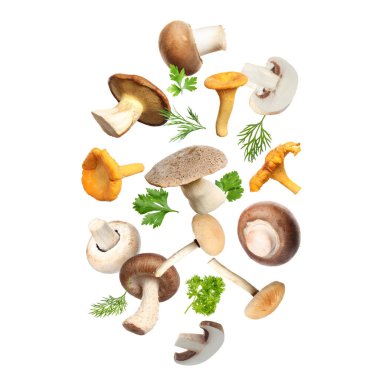 Farklı mantarlar, maydanoz ve dereotları beyaz arka planda havada uçuşuyor.
