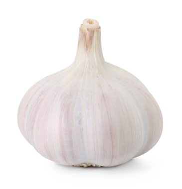 Bir taze sarımsak soğanı beyaza izole edilmiş.