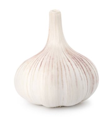 Bir taze sarımsak soğanı beyaza izole edilmiş.