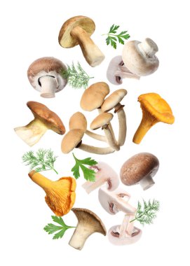 Farklı mantarlar, maydanoz ve dereotları beyaz arka planda havada uçuşuyor.