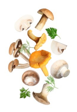 Farklı mantarlar, maydanoz ve dereotları beyaz arka planda havada uçuşuyor.