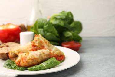 Lezzetli lahana dürümleri ve malzemeler gri masada, yakın plan. Metin için boşluk