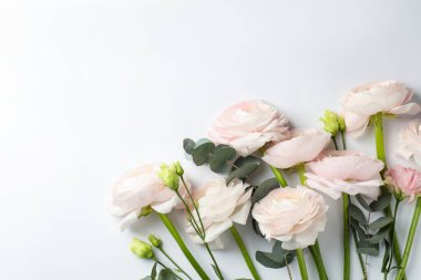 Beyaz arka planda güzel ranunculus çiçekleri ve okaliptüs, düz bir zemin. Metin için boşluk