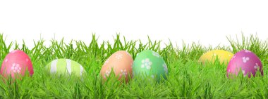 Beyaz arka plana karşı yeşil çimlerde paskalya yumurtaları