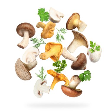 Farklı mantarlar, maydanoz ve dereotları beyaz arka planda havada uçuşuyor.