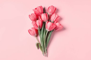 Pembe arka planda güzel laleler, üst manzara. Metin için boşluk