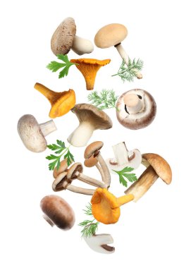 Farklı mantarlar, maydanoz ve dereotları beyaz arka planda havada uçuşuyor.