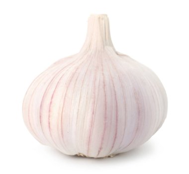 Bir taze sarımsak soğanı beyaza izole edilmiş.