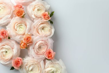 Beyaz arka planda güzel ranunculuslar ve güller, düz yatış. Metin için boşluk
