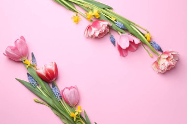 Pembe arka planda güzel bahar çiçekleri, düz yatış. Metin için boşluk