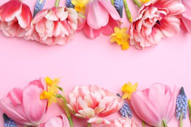 Pembe arka planda güzel bahar çiçekleri, düz yatış. Metin için boşluk