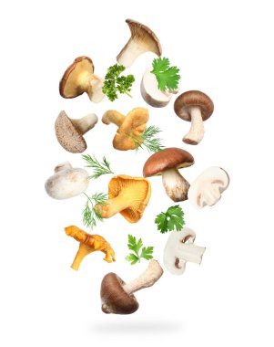 Farklı mantarlar, maydanoz ve dereotları beyaz arka planda havada uçuşuyor.