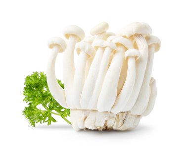 Beyaz arka planda taze mantar ve maydanoz.