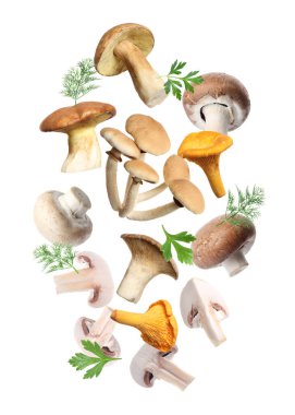 Farklı mantarlar, maydanoz ve dereotları beyaz arka planda havada uçuşuyor.