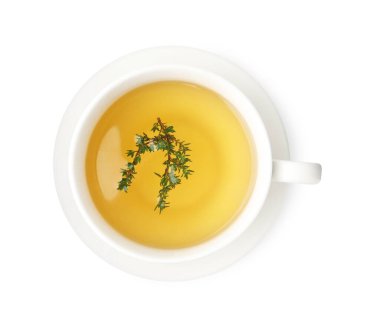 Bardaktaki taze kekik çayı beyaza izole edilmiş, üst manzara.